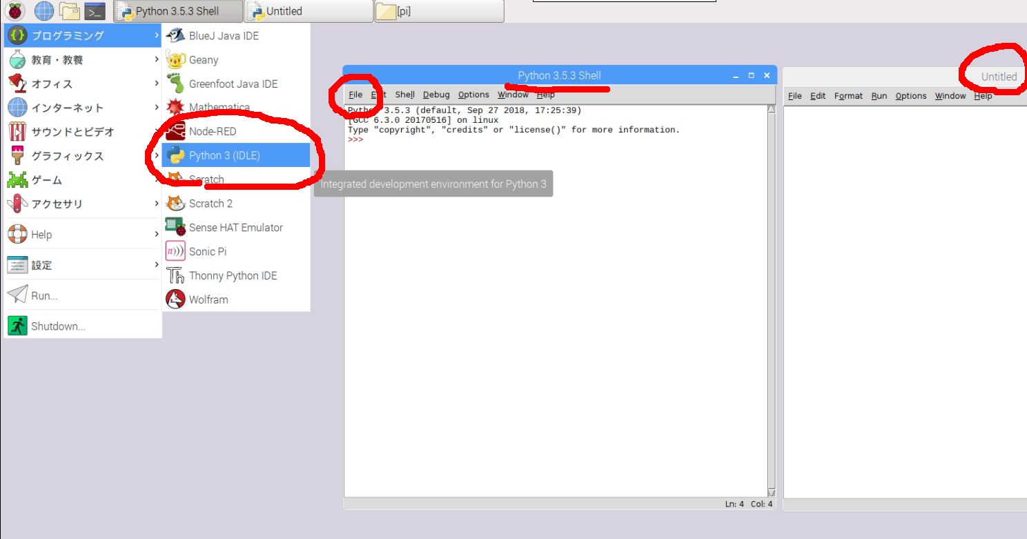 Raspberry Pi のプログラム開発環境